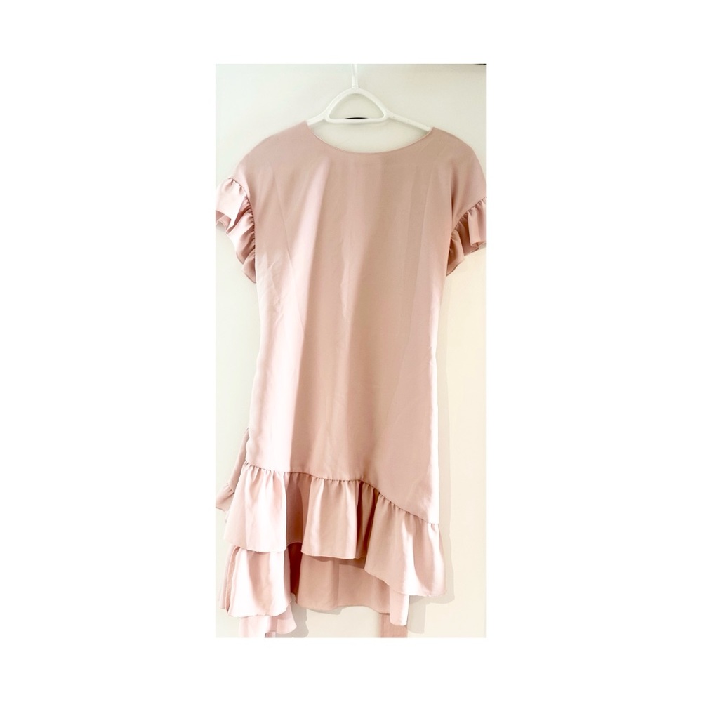 Blush Pink Wilfred Dress - Picture 4 of 5
